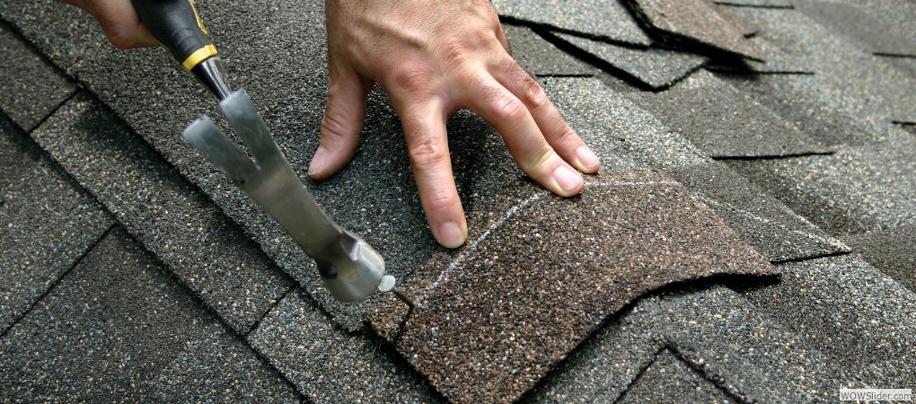 Asphalts Shingles Asphalts Shingles